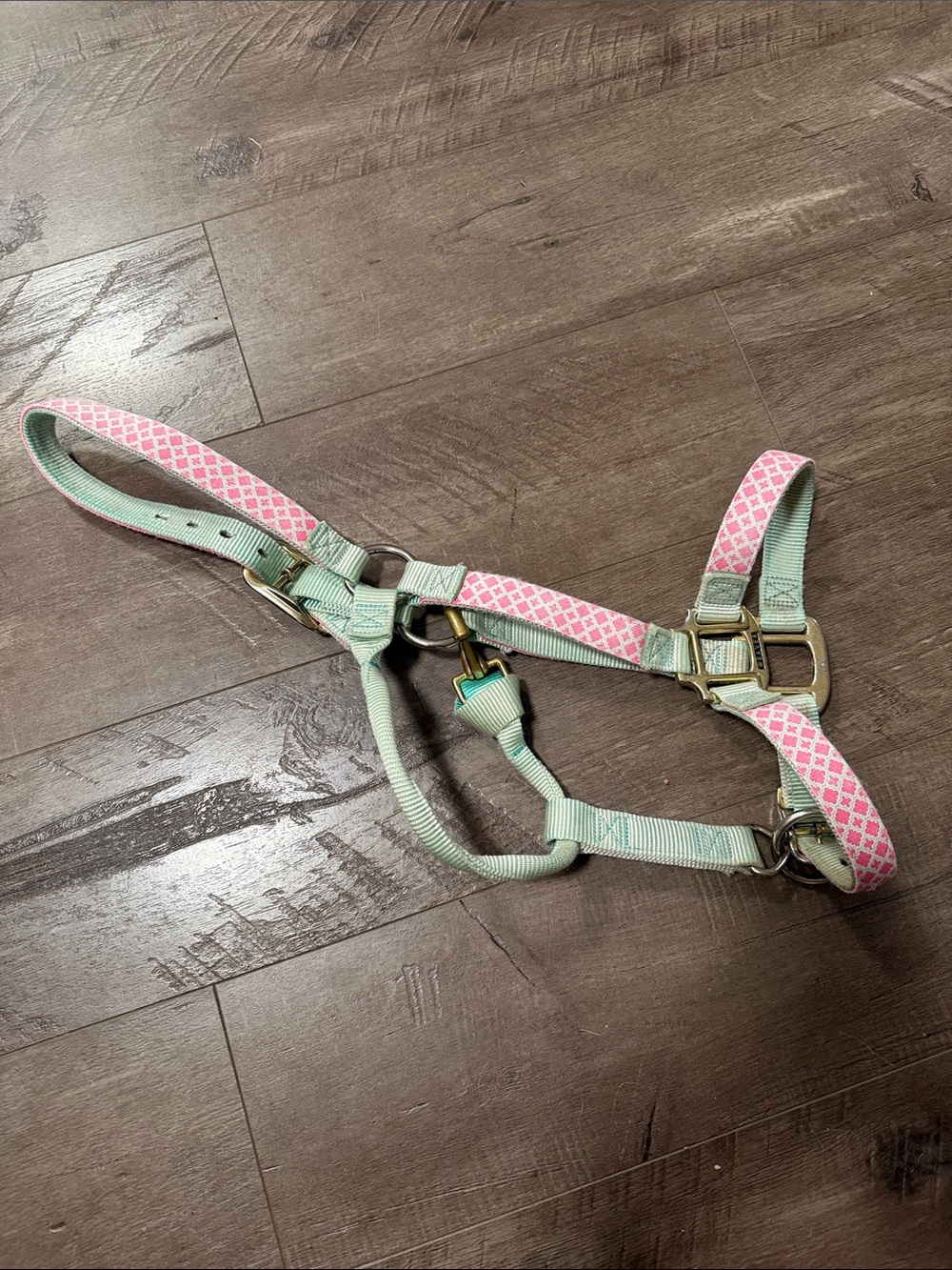Weaver average 1” horse halter Pastel Pink & Mint Adjustable